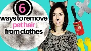 6 СПОСОБОВ УДАЛИТЬ ШЕРСТЬ ДОМАШНИХ ЖИВОТНЫХ С ОДЕЖДЫ