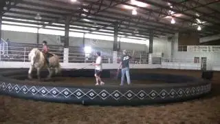 Rosin Back Riding with Tommie Turvey - attempted by Lizzy Traband