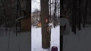 Так вот кушаем