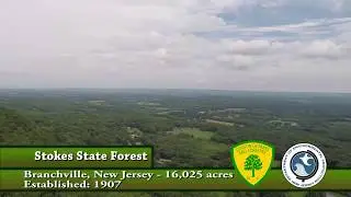 Stokes State Forest - Drone