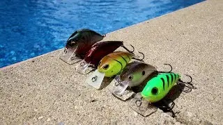 Top 5 Squarebill Crankbaits