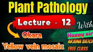 lecture-#12 Yellow Vein Mosaic Disease of Okra | भिंडी मोजैक वायरस रोग ।