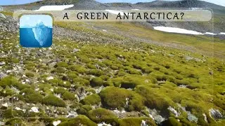 A GREEN ANTARCTICA? (What, Where and How: Simplified)