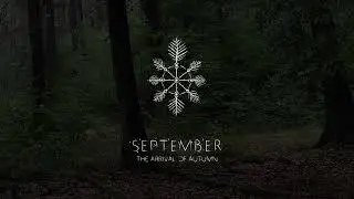 CELLO AMBIENT SOUNDSCAPE | ''SEPTEMBER'' | THE ARRIVAL OF AUTUMN | Jordan van der Maas