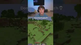 DrDonut finds a fly glitch
