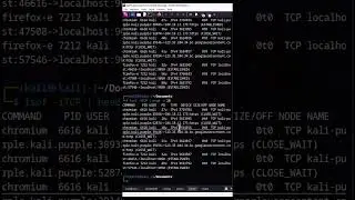 lsof 对Linux网络监视的使用 #黑客 #leocybsec #linux