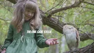 The Adventure of Stella and the Star Thief