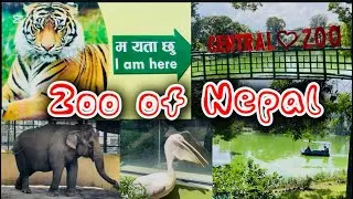 Nepal Central Zoo at Lalitpur || Per person only 250/- Do visit with your family ||