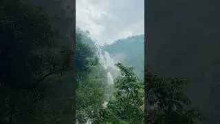 Dangari waterfall Jashpur Chhattisgarh || Chhattisgarh Tourism #chhattisgarh#tourism#dangari