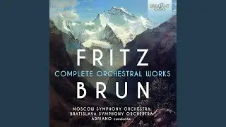 Divertimento für Klavier & Streicher