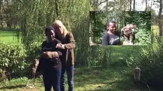 Birdman Karel Geurts Hof fan&rsquo;t Wyldpaed
