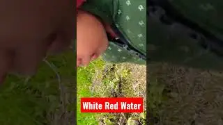 👉white red Water #amazing #shorts