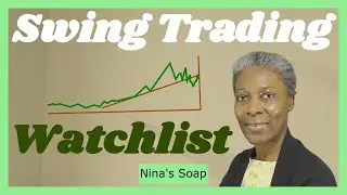 How many stocks do you keep in your watchlist at any given day v268