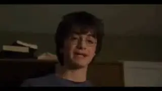 Harry Potter version Qu&eacute;bec feat mr chat