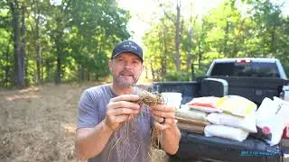 Establishing a Clover Food Plot in West Virginia.