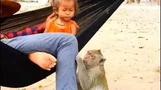 Oh,What is monkey Sok doing with human baby? Monkey Sok with kid best relationship