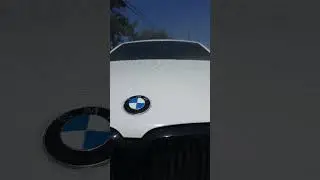 Gyeon One Evo Water beading #ceramiccoating #hydrophobic #goviral #new #youtubeshorts #cardetailing