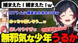 マジレスマルファイトピックで相手をいじめて楽しむ少年うるか【鷹宮リオン/猫汰つな/ラトナ・プティ/ゆふな/LOL】