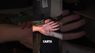 Сайты, которые ты обязан добавить в закладки! 🎲 #dnd #днд #днд5е
