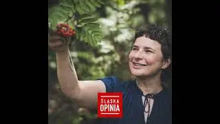 Zanurzyć się w lesie. Gościni: Antonina Iwaszkiewicz