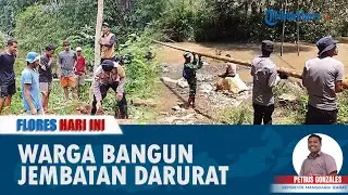 FLORES HARI INI: Demi Pendidikan Anak-anak, Warga Golo Lajang Bangun Jembatan Darurat Pakai Kayu