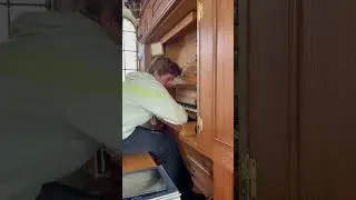 The sound of the organ starting up