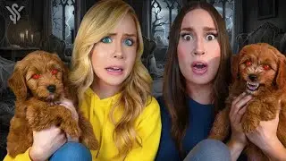 Mackenzie and Lael's Dog MALIBU Has a DARK Twin That Appears at 3am! #malibu @YouTubeStar7779 