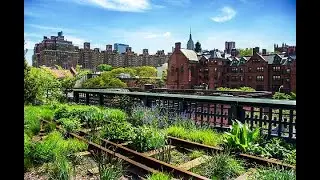 NYC Walking Tour HighLine