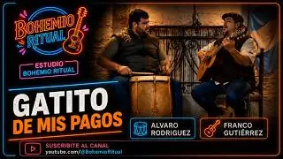 Gatito de mis pagos | Estudio Bohemio Ritual