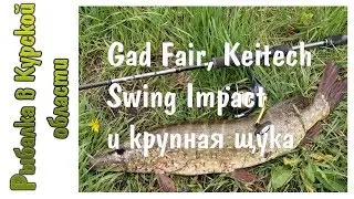 Gad Fair, Keitech Swing Impact и первая крупная щука