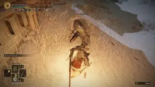 ELDEN RING this grab attack from a black knife assassin #blackknifeassassin