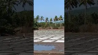 Natural salt making #trending #best #kokan #salt #short