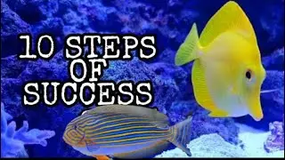 How to success marine aquarium  in Hindi  #reef #Marineaquarium #ReefM#saltwater