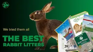 Top 6 Best Rabbit Litters (We Tested Them All)
