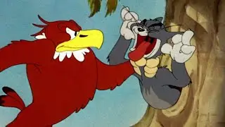 Tom & Jerry - The Flirty Birdy | The Best Of