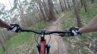 Aneurism Trail Lysterfield