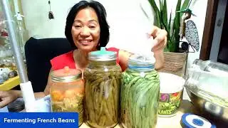 Fermenting Beans