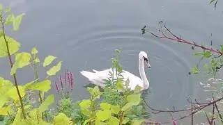 Lake Zbilje, Словения, июль 2025 