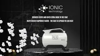 Efficient Pet's Coat Drying and Untangling | Tauro Pro Line Dryer plus Ion Technology