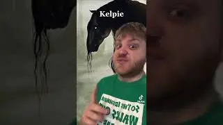 Безумные мифические существа: Кельпи