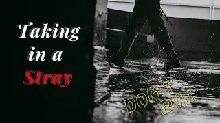 Lost And Found: Нежная ASMR-ролевая игра для заблудшей души — Часть 1 | WendysLostBoys&Girls