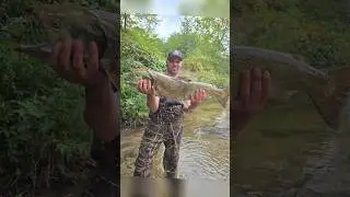 a little luck on the river #fishing #fyp #michigan #salmon