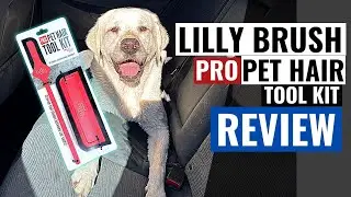 Обзор набора инструментов для ухода за шерстью домашних животных Lilly Brush Pro