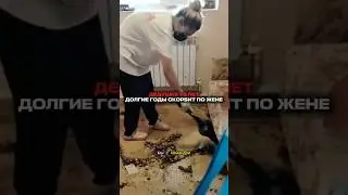 Артикул WB: #WW269864(Копируйте артикул с WW)