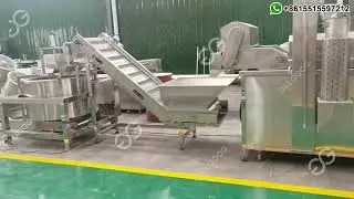 2023 Continuous Frying Line, Peanut Frying Production Line Running Video