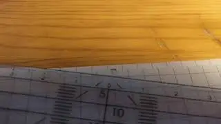 Worlds smallest yet fastest caterpillar