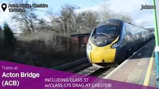 Trains at Acton Bridge and Class 37 Class 175 drag at Chester! (12/02/24)  | Jakeso