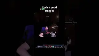 Good Doggo! | Stoneshard | Permadeath
