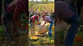 Giant Pumpkin Sliced Open with Chainsaw!🎃 | You Wont Believe What&rsquo;s Inside #pumpkin #chainsaw