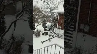 ❄️ Snow ❄️#USA🇺🇸# 